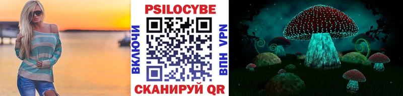 kraken зеркало  Полярные Зори  Галлюциногенные грибы Cubensis 